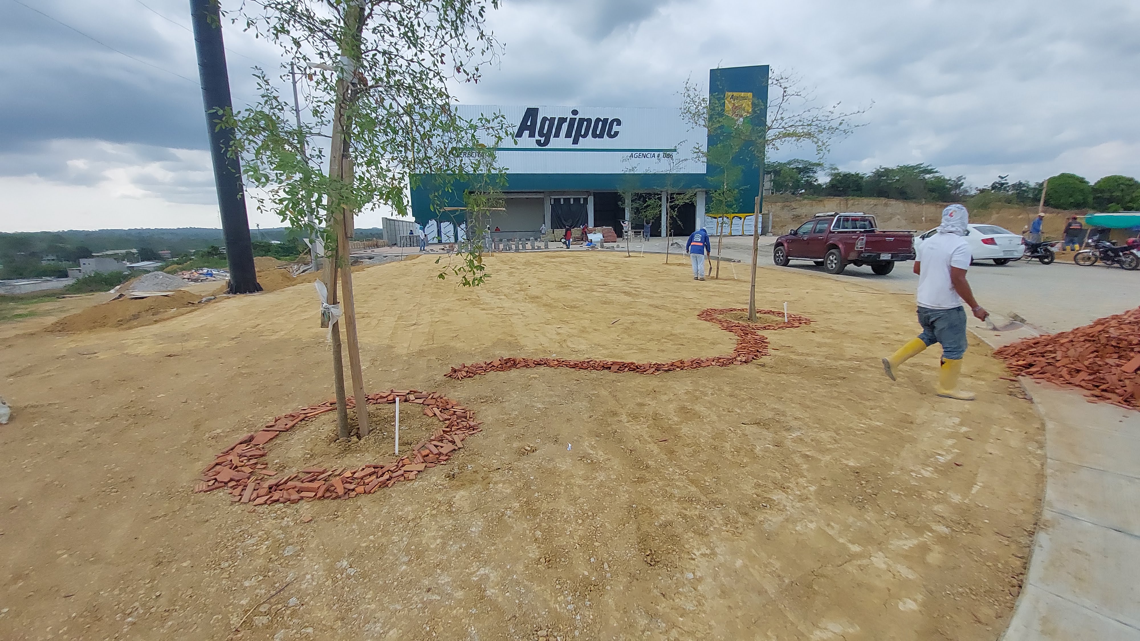 Area de jardineria frontal con arboles plantados