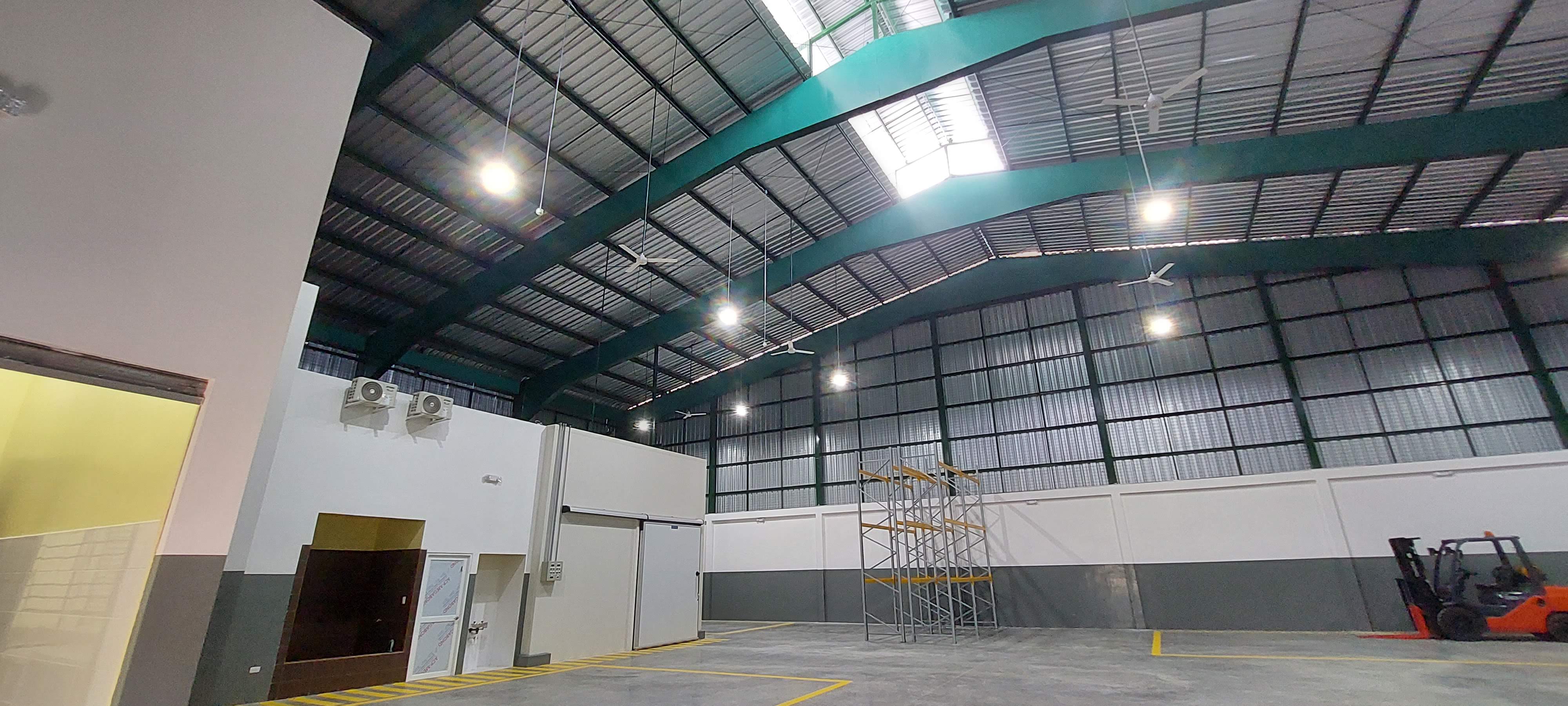 Interior bodega con estructura verde e iluminacion